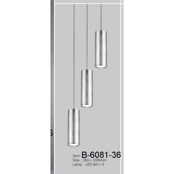 B6081-36