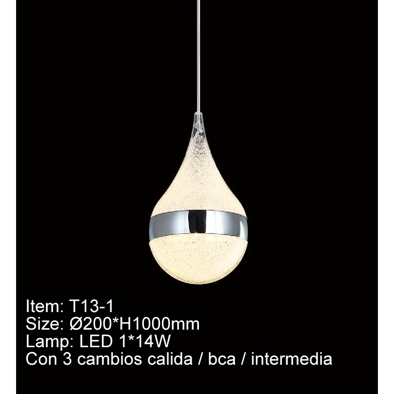 T13-1