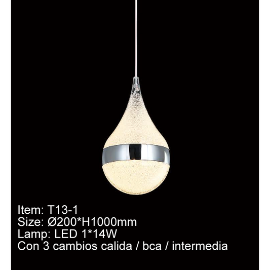 T13-1
